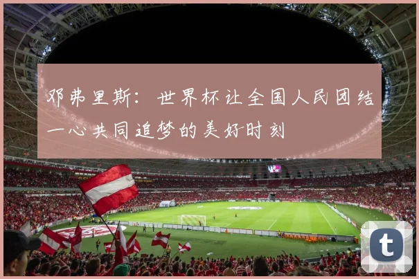 邓弗里斯：世界杯让全国人民团结一心共同追梦的美好时刻